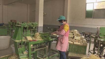 重庆惠成竹业 小筷子撬动大产业，年底产值有望突破2000万